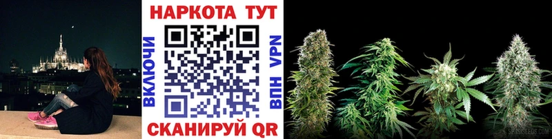 Где найти наркотики Курчатов A-PVP  Мефедрон  Галлюциногенные грибы  ЭКСТАЗИ  Марихуана  COCAIN 
