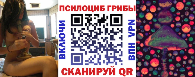 Псилоцибиновые грибы прущие грибы  hydra ONION  Курчатов 