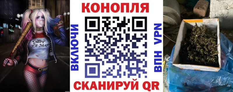 купить наркотик  Курчатов  мориарти телеграм  Конопля план 